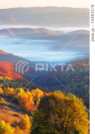 beautiful sunrise in mountains beautiful sunrise in mountains 54883578
