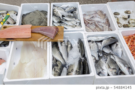 Fresh fish and seafood at the market of Budva  54884145
