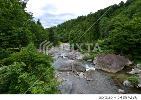 五十沢川上流(曇り)1 五十沢川上流(曇り)1 54884236