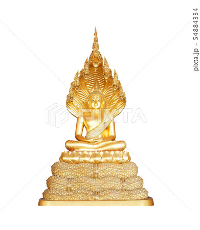 Buddha statue isolated on white background 54884334