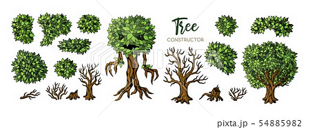 Fantasy trees constructor set. Trees, leaves and branches elements for design 54885982