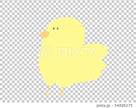 飛揚的小雞 飛揚的小雞 54886275