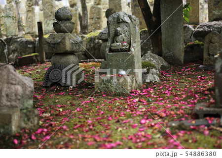 五百羅漢 54886380