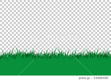 grass field, grassland, grasslands 54886480
