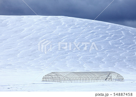 冬の北海道の丘に風によって作られた美しい雪の紋様 冬の北海道の丘に風によって作られた美しい雪の紋様 54887458