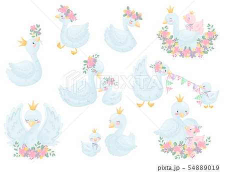 Set Of Image Swans Vector Illustration On のイラスト素材