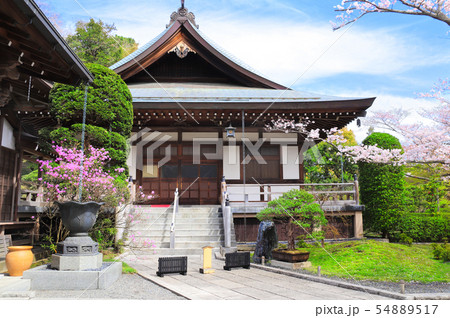Ancient pavilions and flowering sakura, Hokokuji Ancient pavilions and flowering sakura, Hokokuji 54889517