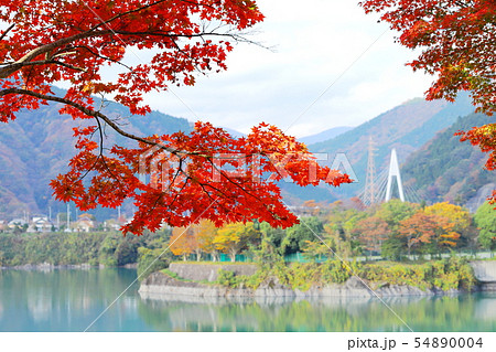 紅葉の丹沢湖　千代の沢園地 54890004