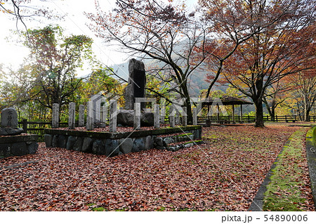 紅葉の丹沢湖 水神様 紅葉の丹沢湖 水神様 54890006