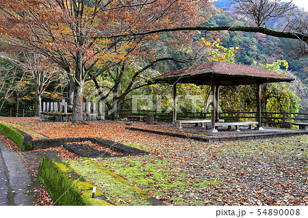 紅葉の丹沢湖 水神様 紅葉の丹沢湖 水神様 54890008
