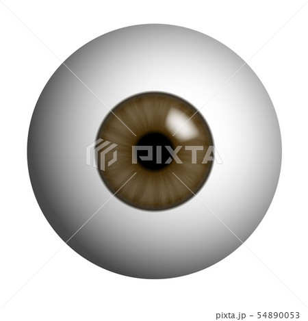 Realistic illustration of human eye with brown Realistic illustration of human eye with brown 54890053