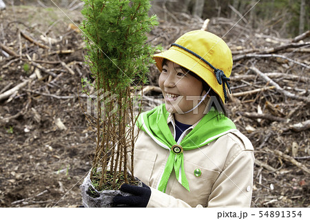 植樹するみどりの少年団 54891354