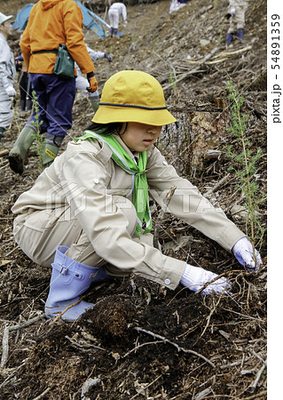 植樹するみどりの少年団 54891359