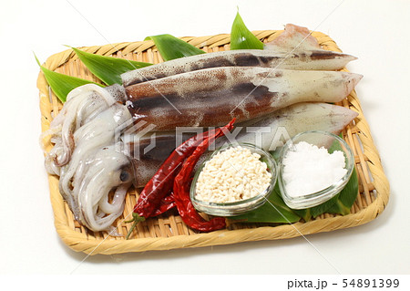 いか塩辛の材料ザル盛り、添加物無しの家庭の手作り、魚介類、北海道のするめいか 54891399