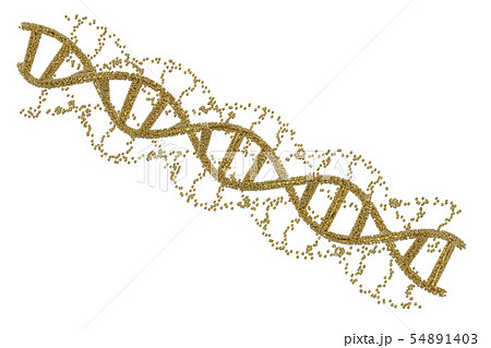 dna helix or dna structure dna helix or dna structure 54891403