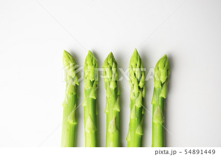 アスパラガス 54891449
