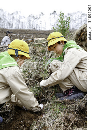 植樹するみどりの少年団 植樹するみどりの少年団 54892002