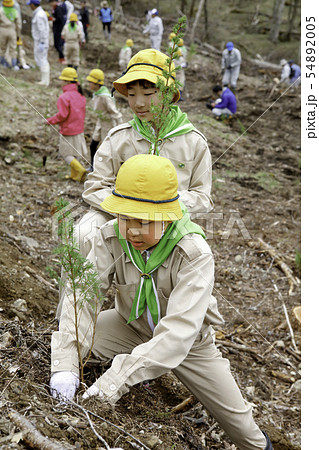 植樹するみどりの少年団 54892005