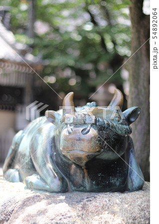 天満宮 牛 銅像 54892064