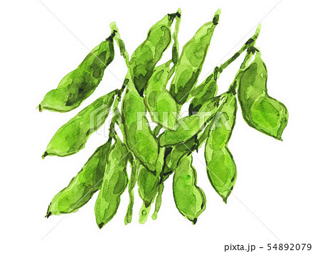 edamame19715pix7 54892079