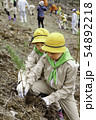 植樹するみどりの少年団 54892218