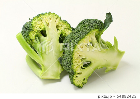 半分にカットされたブロッコリー 白バック 緑黄色野菜の写真素材