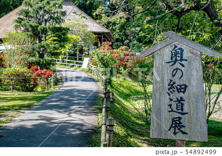 奥の細道 54892499