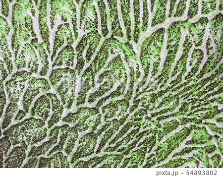 Abstract art background green and white color. Abstract art background green and white color. 54893802