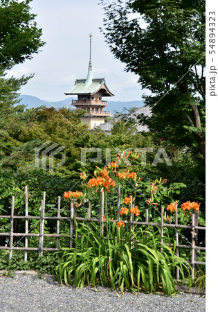 高台寺から大雲院祇園閣を望む 54894323