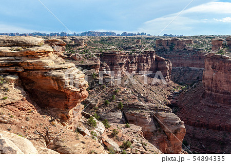 The Needles area of Canyonlands 54894335