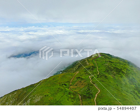 夏の伊吹山　雲海 54894407