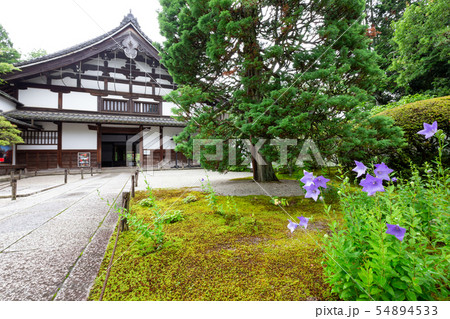 初夏の天授庵 54894533