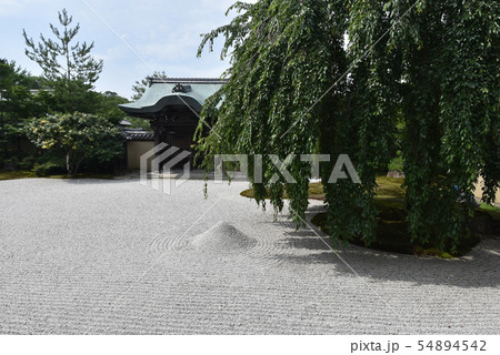 高台寺 方丈庭園 高台寺 方丈庭園 54894542