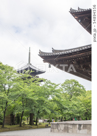 東寺 東寺 54894556