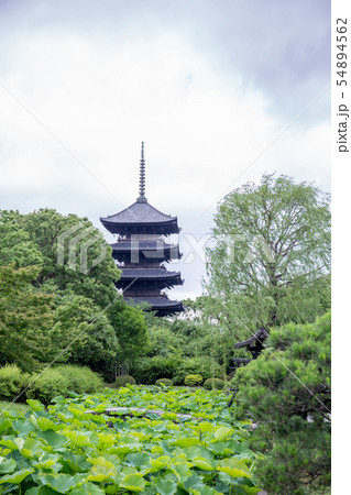 東寺 五重塔 東寺 五重塔 54894562