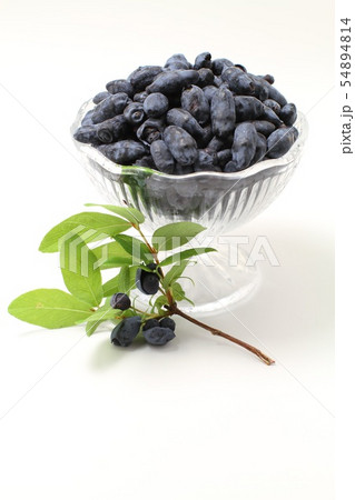 ハスカップ、木の実、北海道のフルーツ ハスカップ、木の実、北海道のフルーツ 54894814