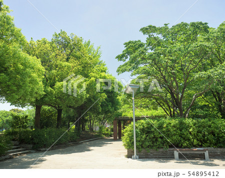 千葉県　南流山中央公園 54895412