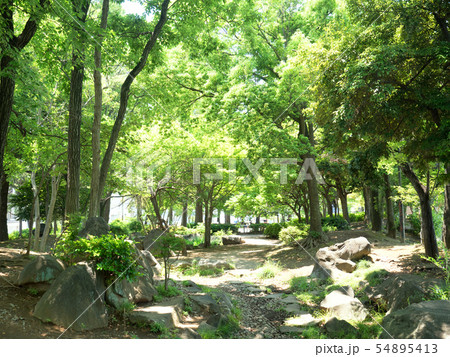 千葉県　南流山中央公園 54895413