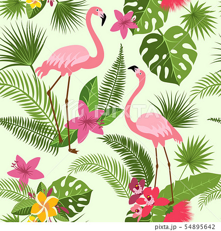 Vector Seamless Pattern With Flamingo Tropical のイラスト素材 54895642 Pixta