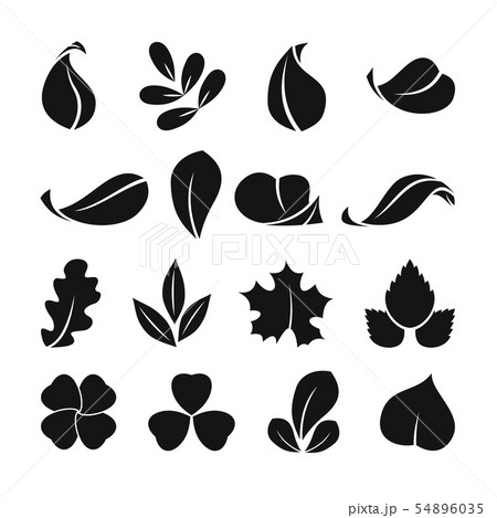 Black monochrome symbols of spring leaf. Vector shapes. Summer icon set isolate on white background 54896035