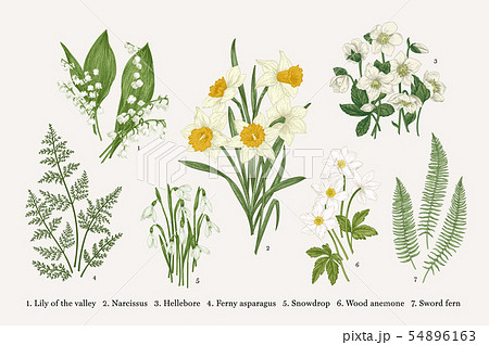 Set with spring flowers. Set with spring flowers. 54896163