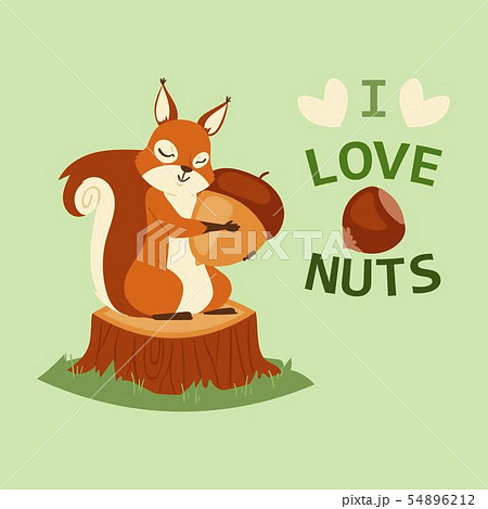 Squirrel hugging acorn and standing on wooden tree log with bark on grass banner vector illustration Squirrel hugging acorn and standing on wooden tree log with bark on grass banner vector illustration 54896212
