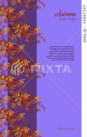 Autumn grape vine 54897167