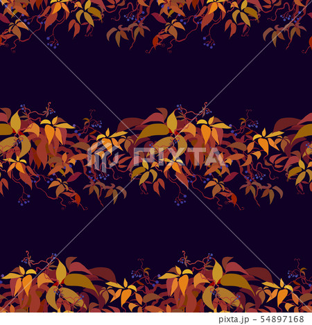 Autumn grape vine 54897168