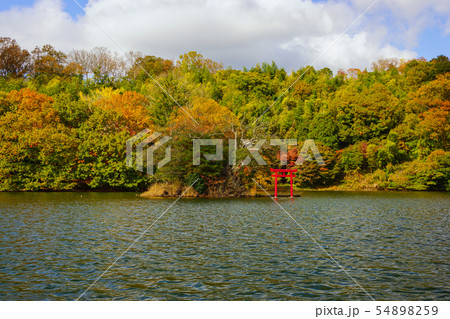 一碧湖 紅葉　伊東市 54898259