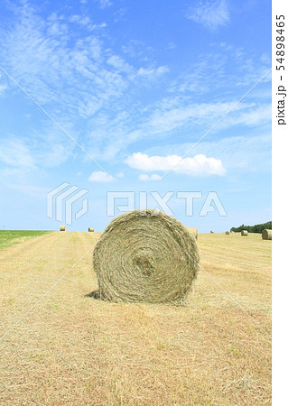 牧草ロール、青い空と牧草ロール、牧草畑 54898465