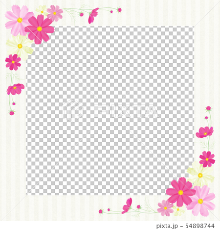 Colorful cosmos frame yellow stripe 54898744