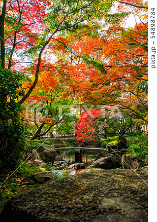 大田黒公園 紅葉の写真素材