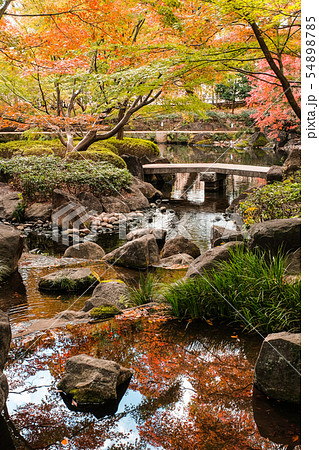 大田黒公園・紅葉 大田黒公園・紅葉 54898785