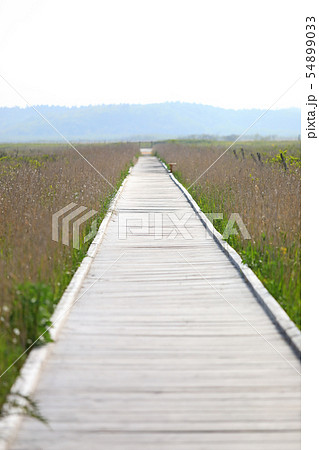 霧多布湿原 霧多布湿原 54899033